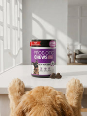 TTLXRL Probiotic Soft Chews for Dogs, 2-Pack
