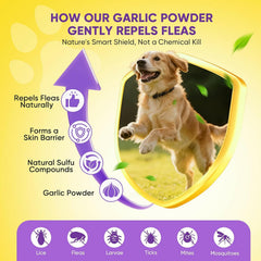 Dog Flea and Tick Treatment Chewable 200 Treatment Chews Natural Soft Chew Fleas Ticks Treatment Dog Oral Chewables Support Supplement Breeds and Ages Dogs Chicken Flavor