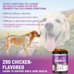 TTLXRL Hip & Joint Soft Chews for Dogs, 200 Count