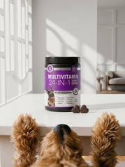 24-in-1 Multivitamin Soft Chews support 24 areas of dog wellness for all breeds, featuring Glucosamine & Chondroitin for Joint Support, Digestive Enzymes & Probiotics, Grain-Free Vitamins for Skin & Coat, and Immune Health.
