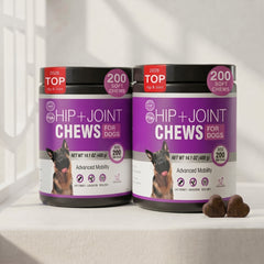 2-Pack | Big Dogs & Active Pups, Big Adventures — TTLXR Vet-Trusted Hip & Joint Chews with Glucosamine, MSM & Chondroitin