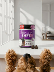 Advanced hip & joint support for dogs with Glucosamine, MSM, and Chondroitin. Made for large breeds and active pups. Vet-trusted. Try TTLXR Hip & Joint Soft Chews!