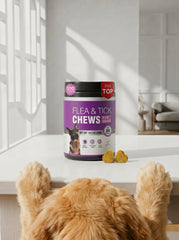 2-Pack | Meet TTLXR Flea & Tick Bites: A Wholesome, Effective, and Yummy Way to Help Eliminate and Repel Fleas, Ticks, and Their Eggs While Supporting Skin Health.