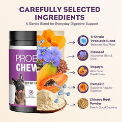 With probiotics sourced directly from the gut of healthy dogs, TTLXR Dog Probiotic Soft Chewables are instantly recognized by your dog’s microbiome to colonize quickly and deliver benefits for occasional diarrhea, while also supporting digestive health.