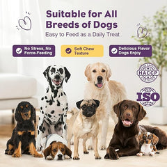 With probiotics sourced directly from the gut of healthy dogs, TTLXR Dog Probiotic Soft Chewables are instantly recognized by your dog’s microbiome to colonize quickly and deliver benefits for occasional diarrhea, while also supporting digestive health.