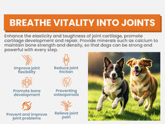 TTLXRL 24-in-1 Multivitamin Soft Chews for Dogs, 200 Count